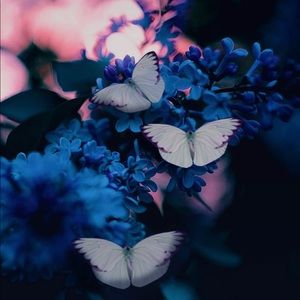 Meet your Posher, Mary